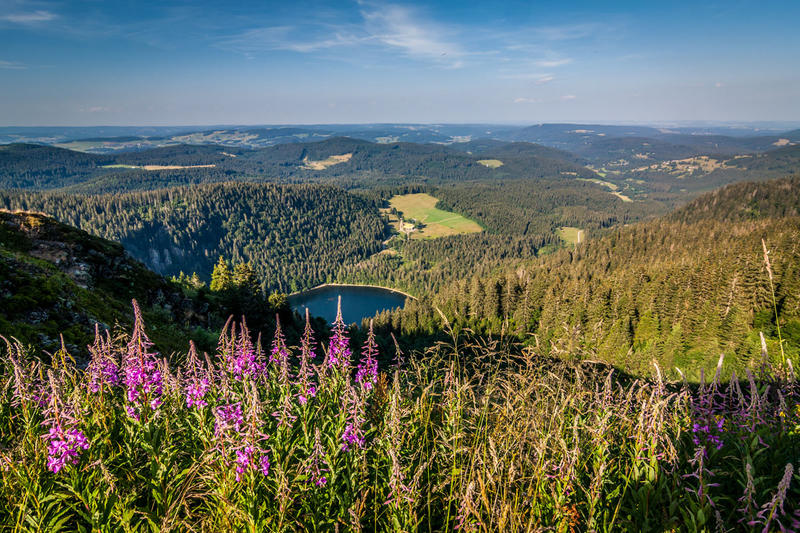 Wandern im Schwarzwald - der Feldsee