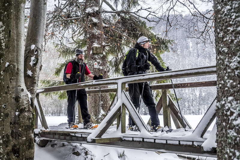 Schneeschuhwanderung am Feldsee, Brücke bei Tag
