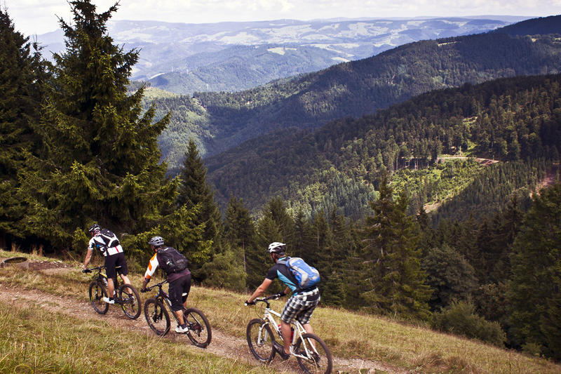 Mountainbike Kurs von beitune im Schwarzwald
