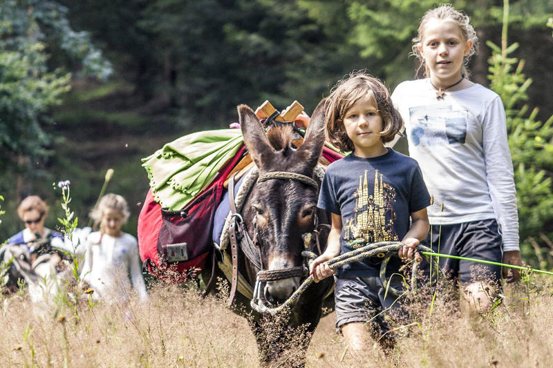 Eseltrekking mit Kindern im Schwarzwald