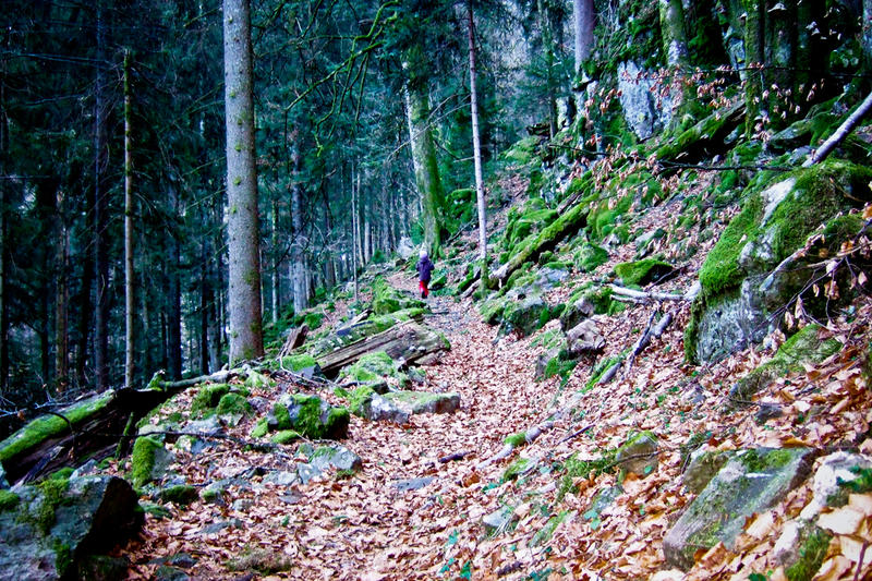 Kletterpartie am Hirschbachfall im Schwarzwald