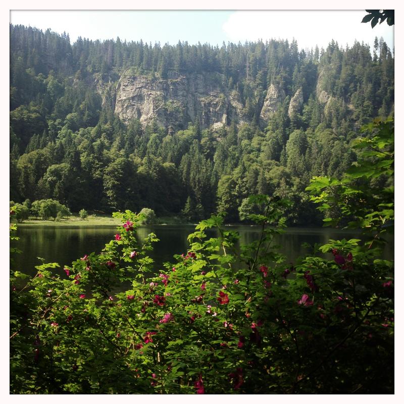 Einer der schönsten und magischsten Orte im Schwarzwald: der Feldsee am Feldberg