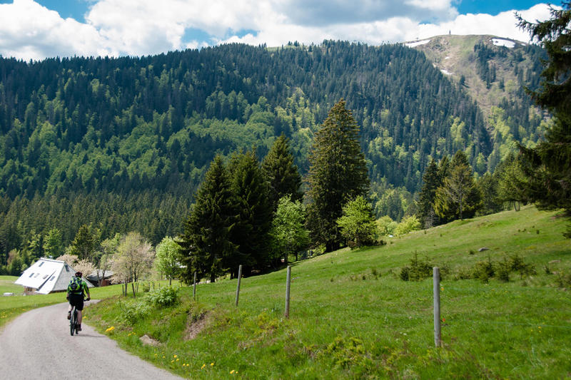 Auf dem E-Bike Seenradweg im Schwarzwald