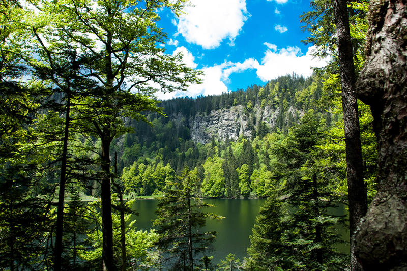 Einer der schönsten Bergseen im Schwarzwald: der Feldsee am Feldberg
