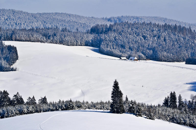 Die Thurnerspur, so steht es oft geschrieben, gilt als eine der schönsten Loipen Deutschlands. Sie liegt zwischen den Hochschwarzwälder Orten St. Märgen und Breitnau auf einer Höhe zwischen 1060 und 1190 Meter. 