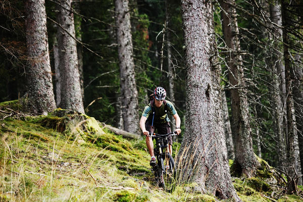 Mountainbike-Touren im Hochschwarzwald